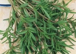 Cząber ogrodowy - nasiona - 1g Satureja hortensis 