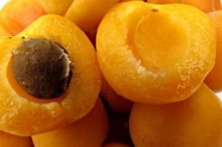 Morela samopylna EARLY ORANGE