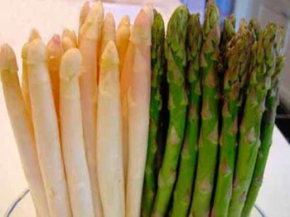 Szparag lekarski odm. EPOSS w doniczce Asparagus officinalis /C2 *T69