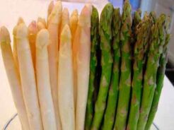 Szparag lekarski odm. EPOSS w doniczce Asparagus officinalis /C2 *T69