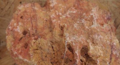 Kamień ogrodowy Fire stone