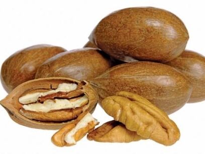 Orzesznik jadalny Orzesznik pekanowaty zw. Pekanem Carya illinoinensis C2/30-40cm *K15w4