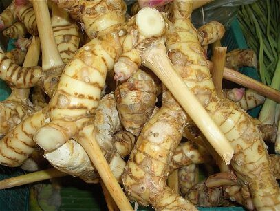 Alpinia galgant Alpinia galanga /P12(C2) *K25