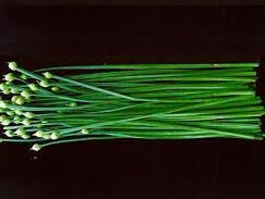 Szczypiorek CZOSNKOWY - 1g nasion Allium tuberosum