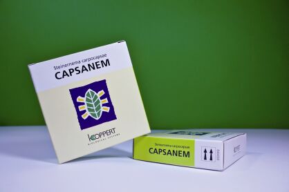 CAPSANEM  - na turkucia podjadka i gąsienice